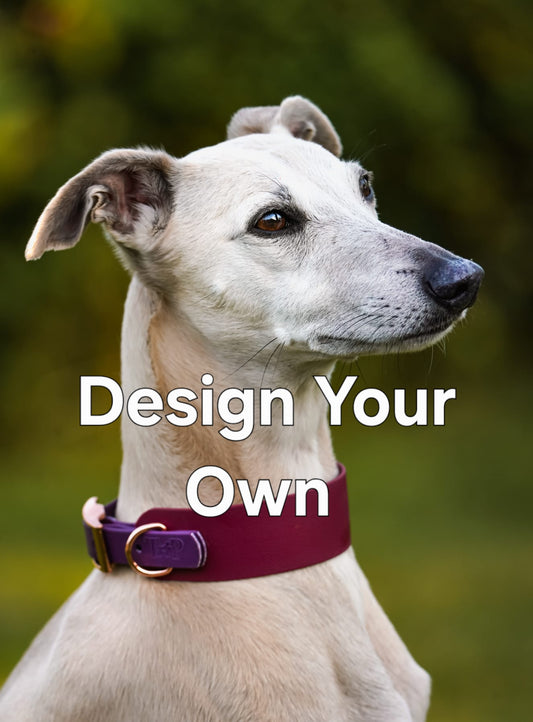 Waterproof BioThane© two-coloured Sighthound wide-fit Dog Collar - Design Your Own
