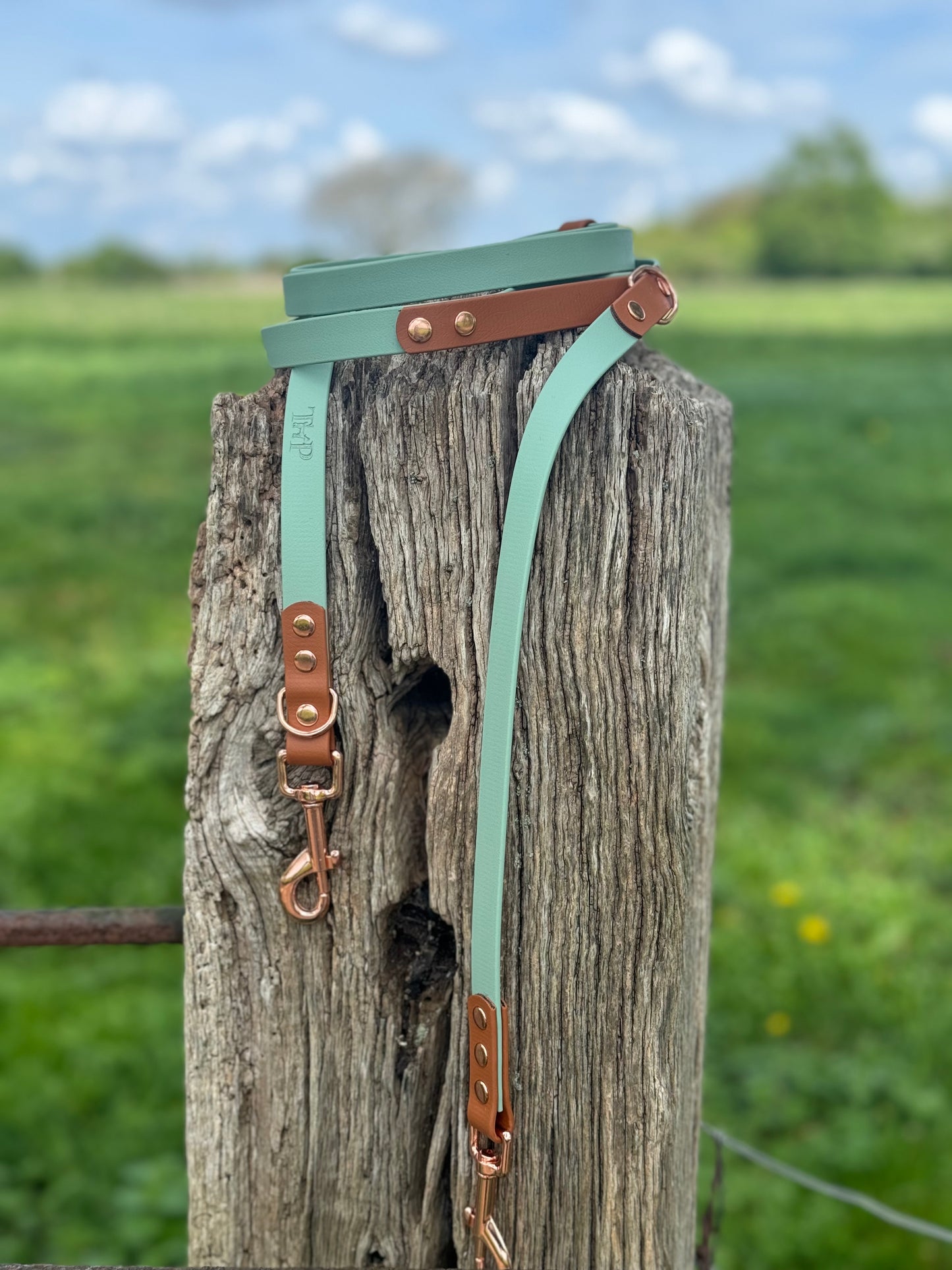 Sage & Tan - Waterproof BioThane© handsfree Dog Training Lead