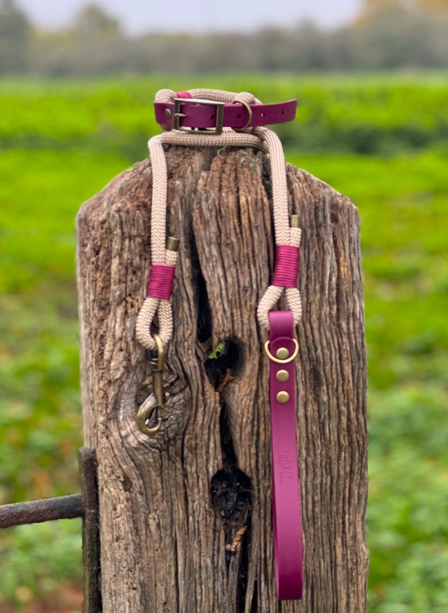 Sand & Burgundy - Classic Rope Dog Lead