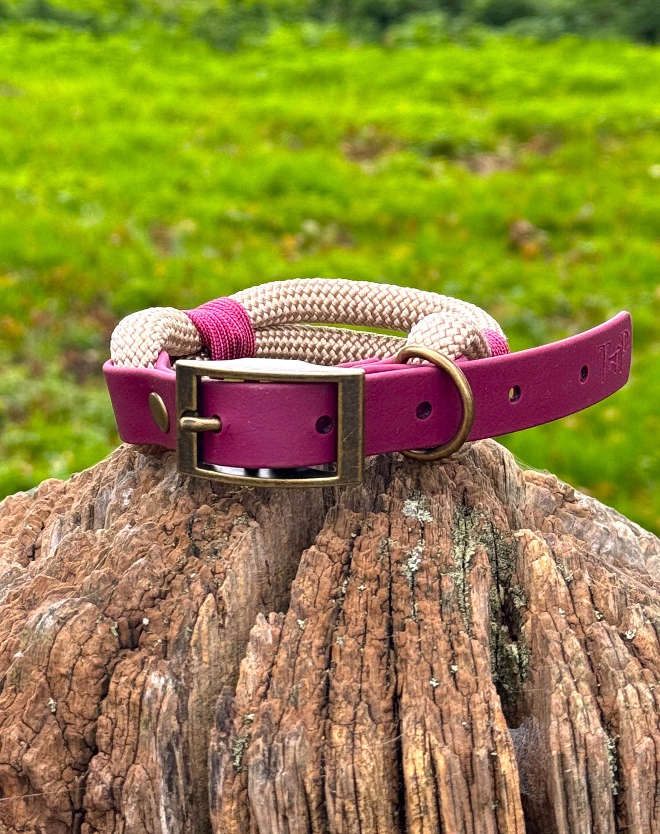 Sand & Burgundy Classic Rope Dog Collar | Trinkety Paws