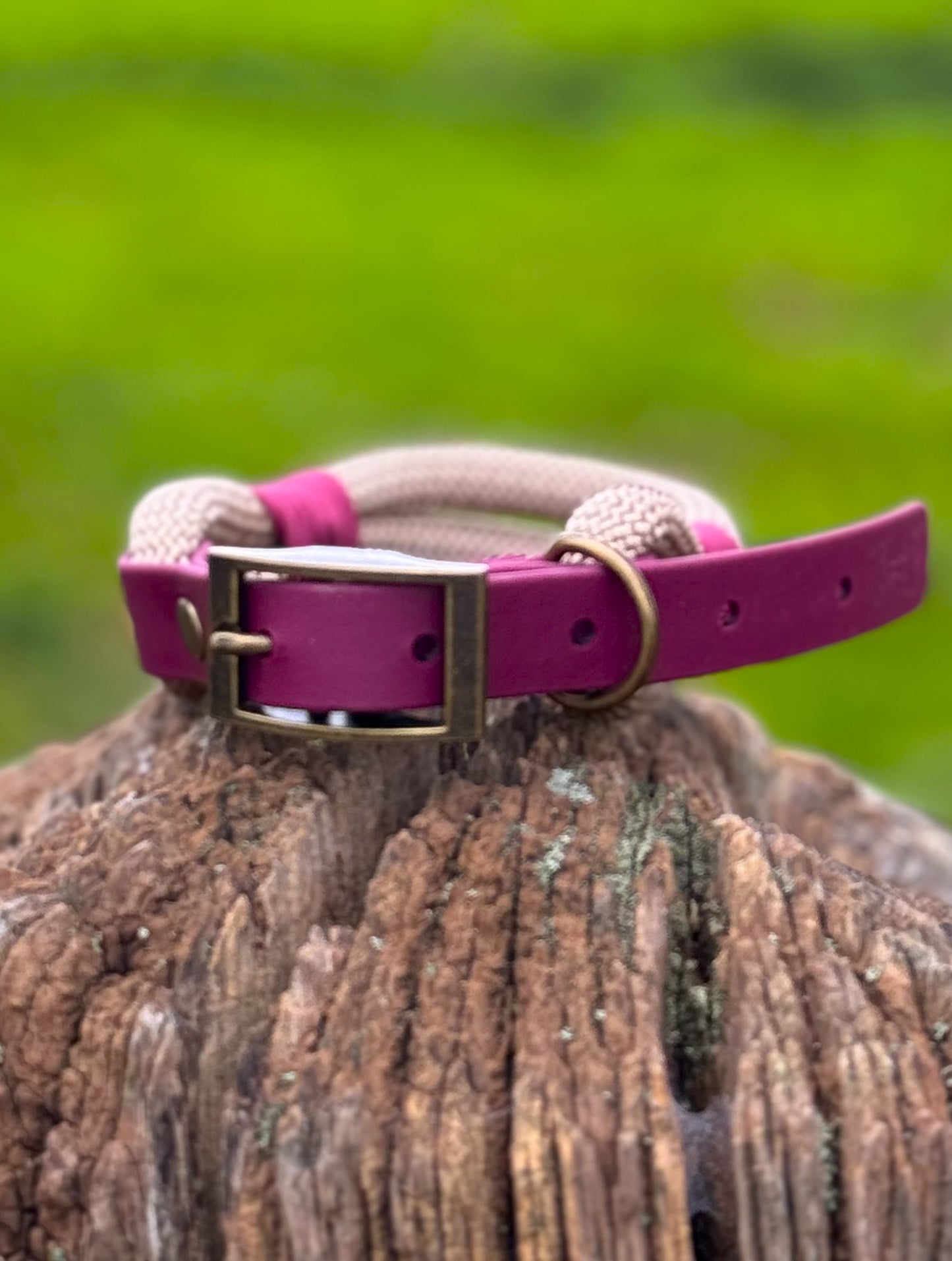 Sand & Burgundy - Classic Rope Dog Collar