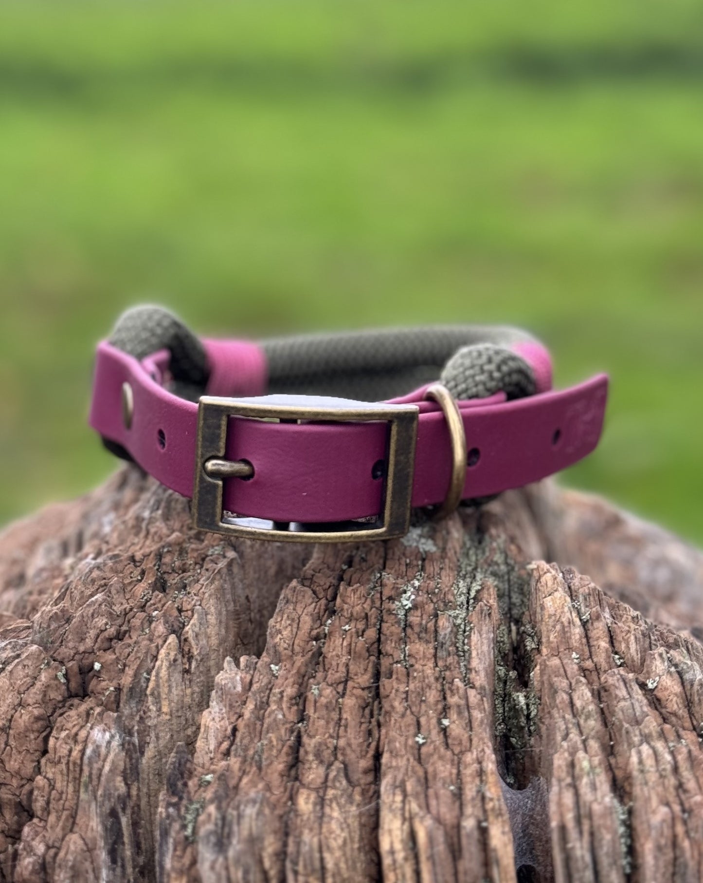 Army Green & Burgundy - Classic Rope Dog Collar
