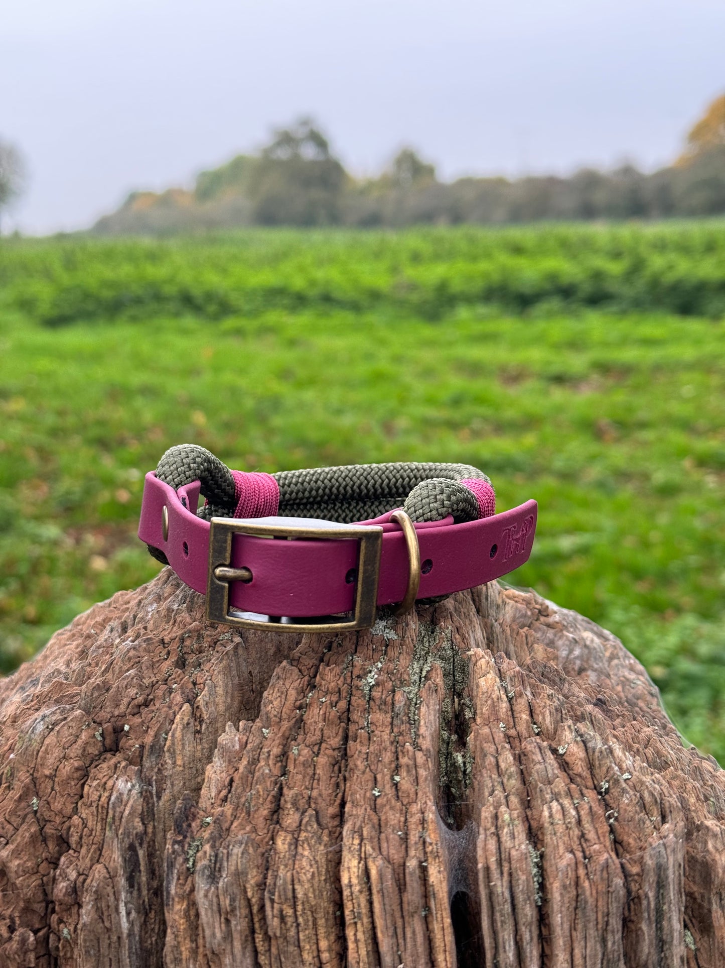 Army Green & Burgundy - Classic Rope Dog Collar
