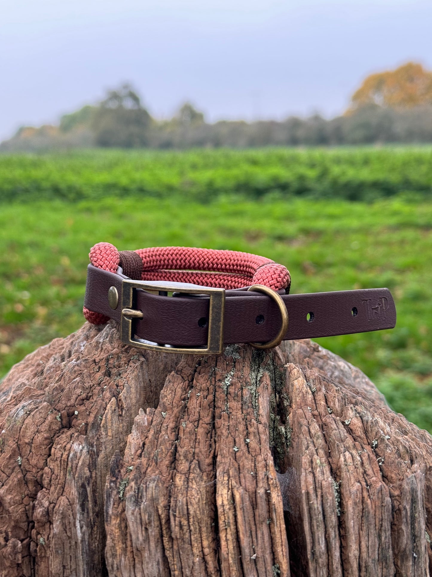 Rust & Dark Brown - Classic Rope Dog Collar