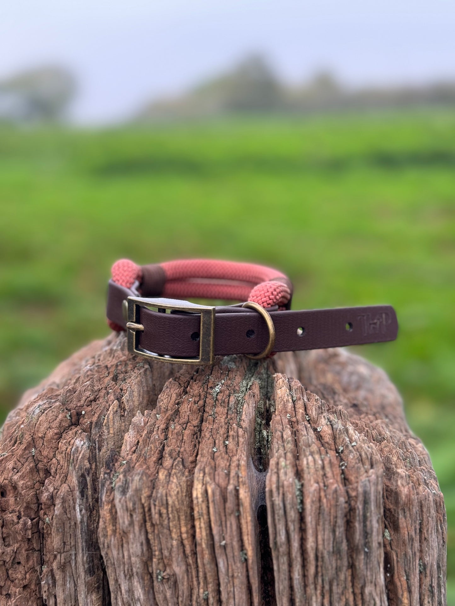 Rust & Dark Brown - Classic Rope Dog Collar