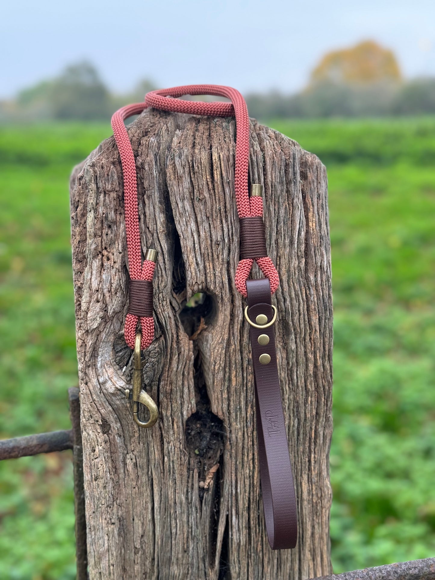 Rust & Dark Brown - Classic Rope Dog Lead