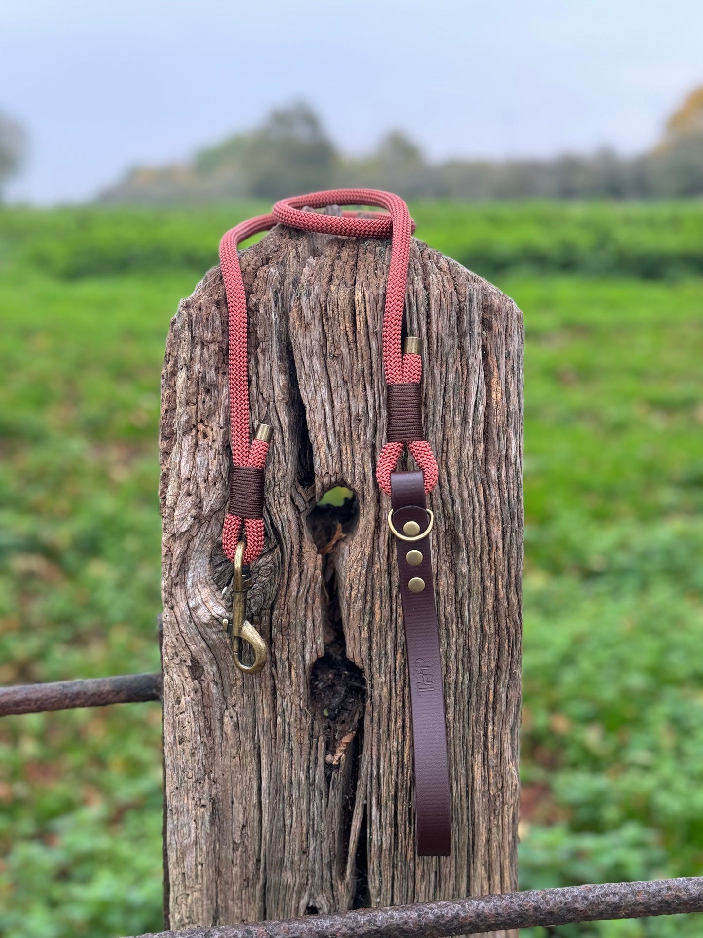 Rust & Dark Brown - Classic Rope Dog Lead