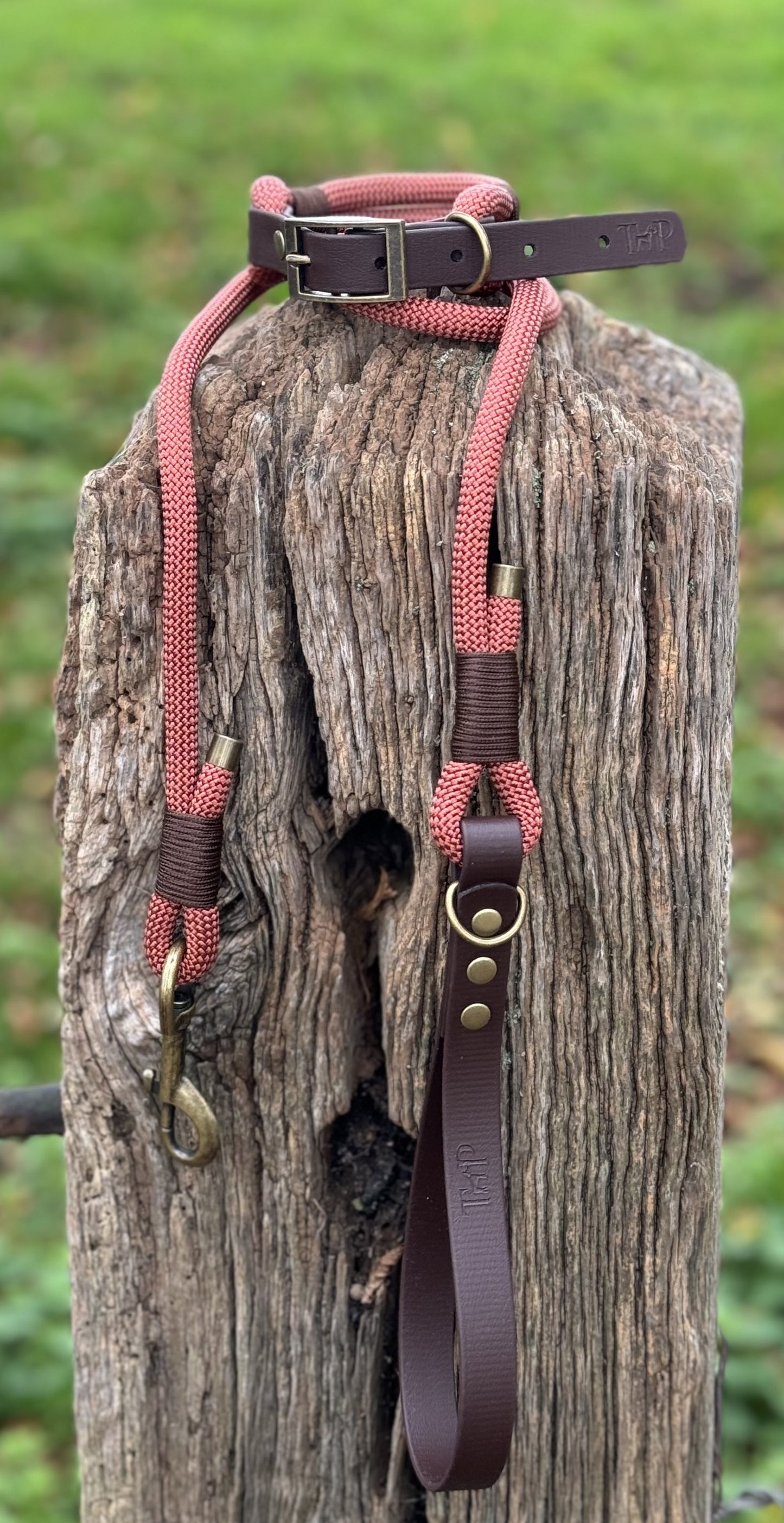 Rust & Dark Brown - Classic Rope Dog Lead