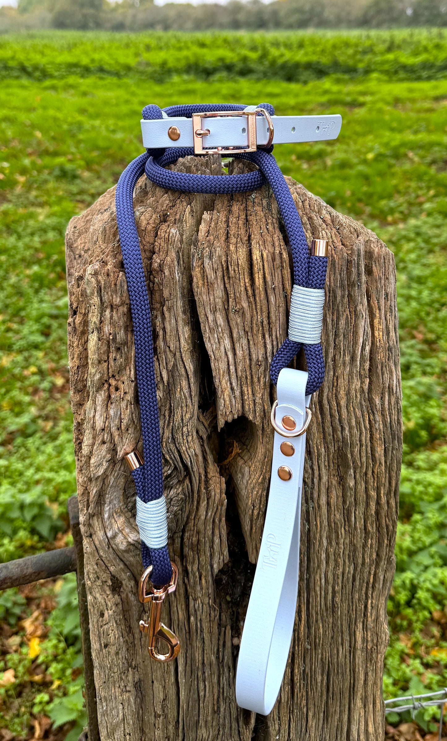 Navy & Baby Blue - Classic Rope Dog Lead