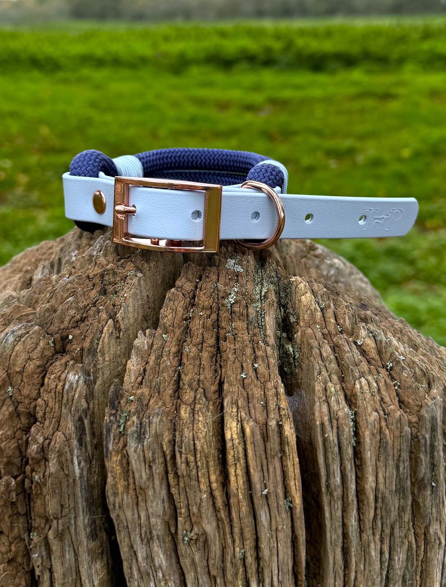 Navy & Baby Blue - Classic Rope Dog Collar
