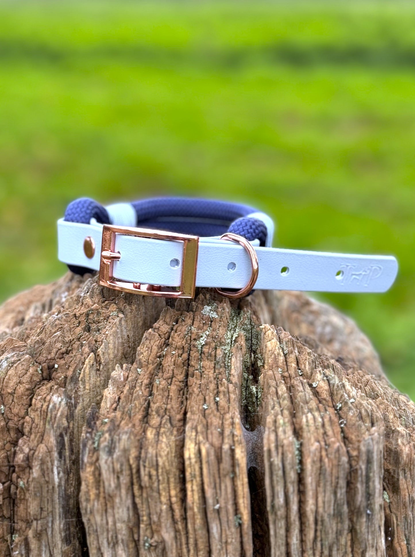 Navy & Baby Blue - Classic Rope Dog Collar
