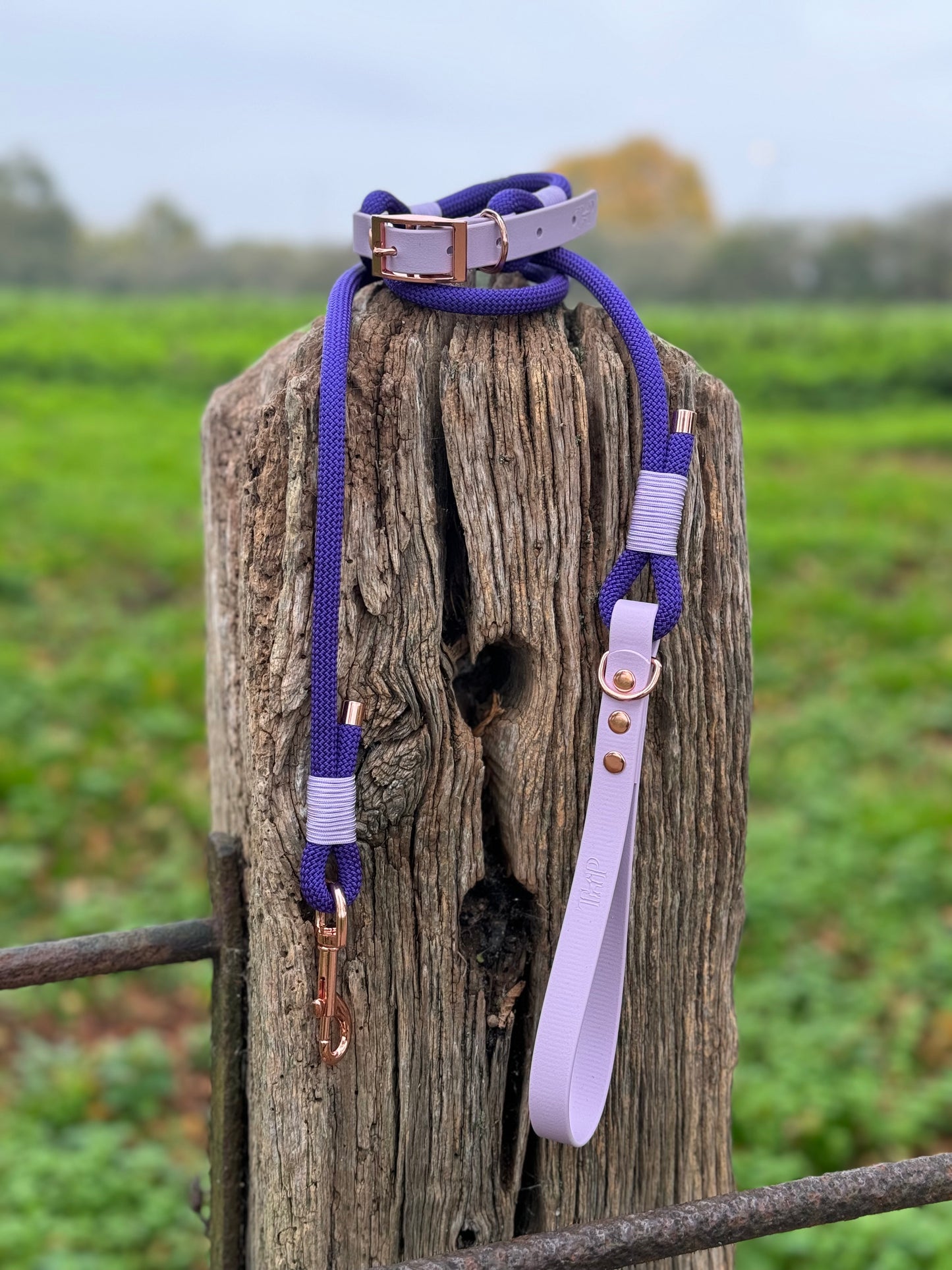 Purple & Lilac - Classic Rope Dog Lead