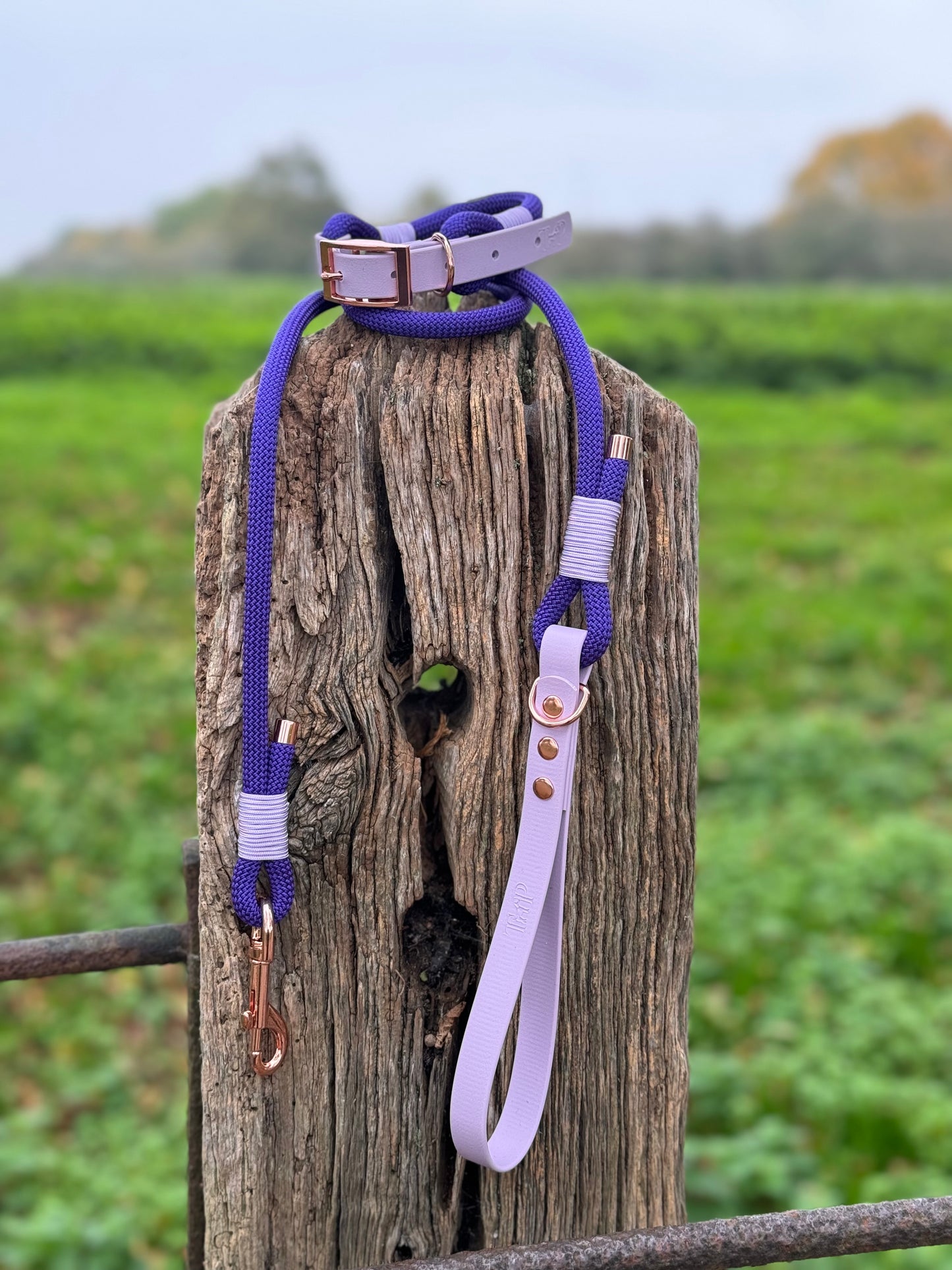 Purple & Lilac - Classic Rope Dog Lead