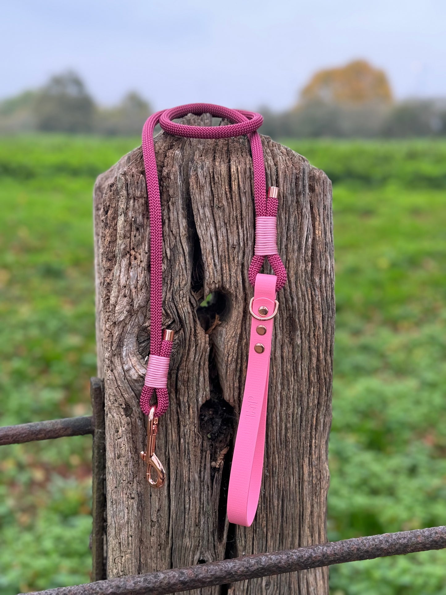Burgundy & Baby Pink - Classic Rope Dog Lead