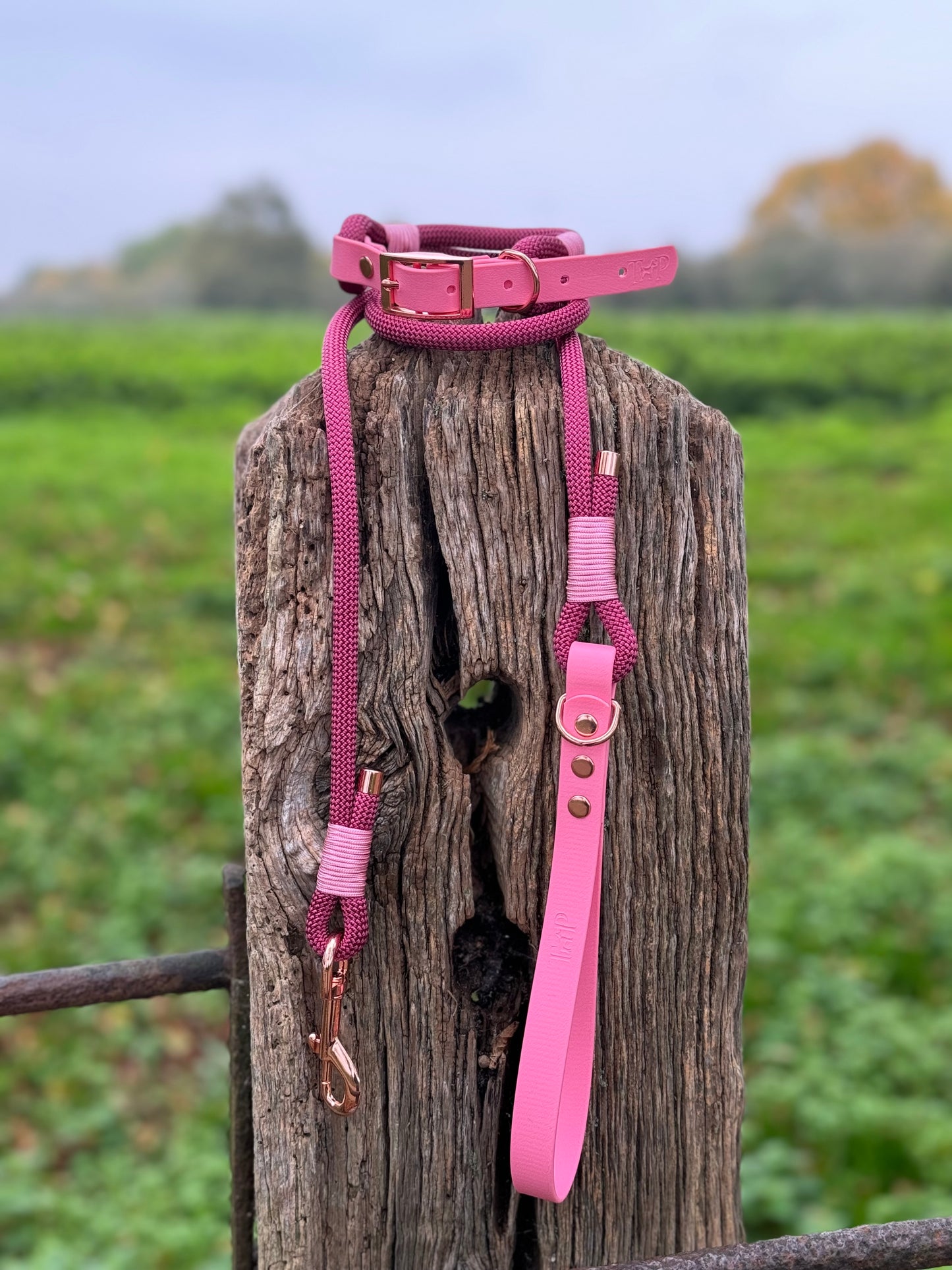 Burgundy & Baby Pink - Classic Rope Dog Lead