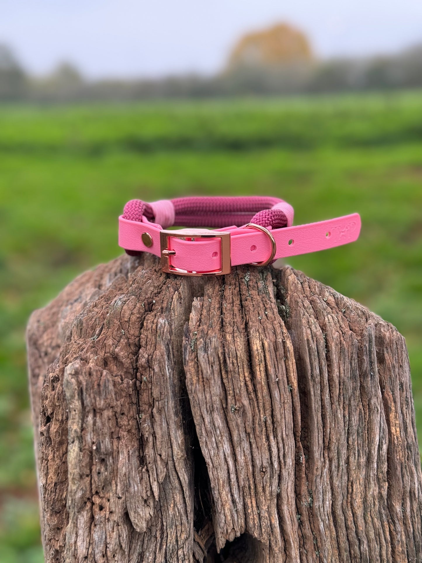 Burgundy & Baby Pink - Classic Rope Dog Collar
