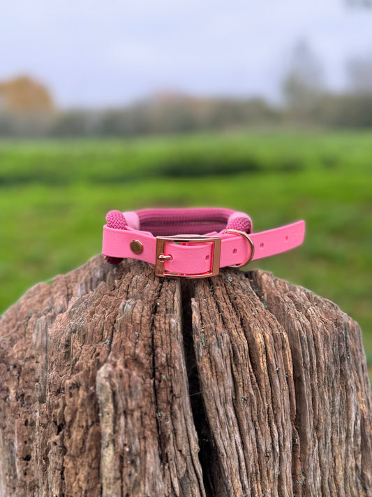 Burgundy & Baby Pink - Classic Rope Dog Collar