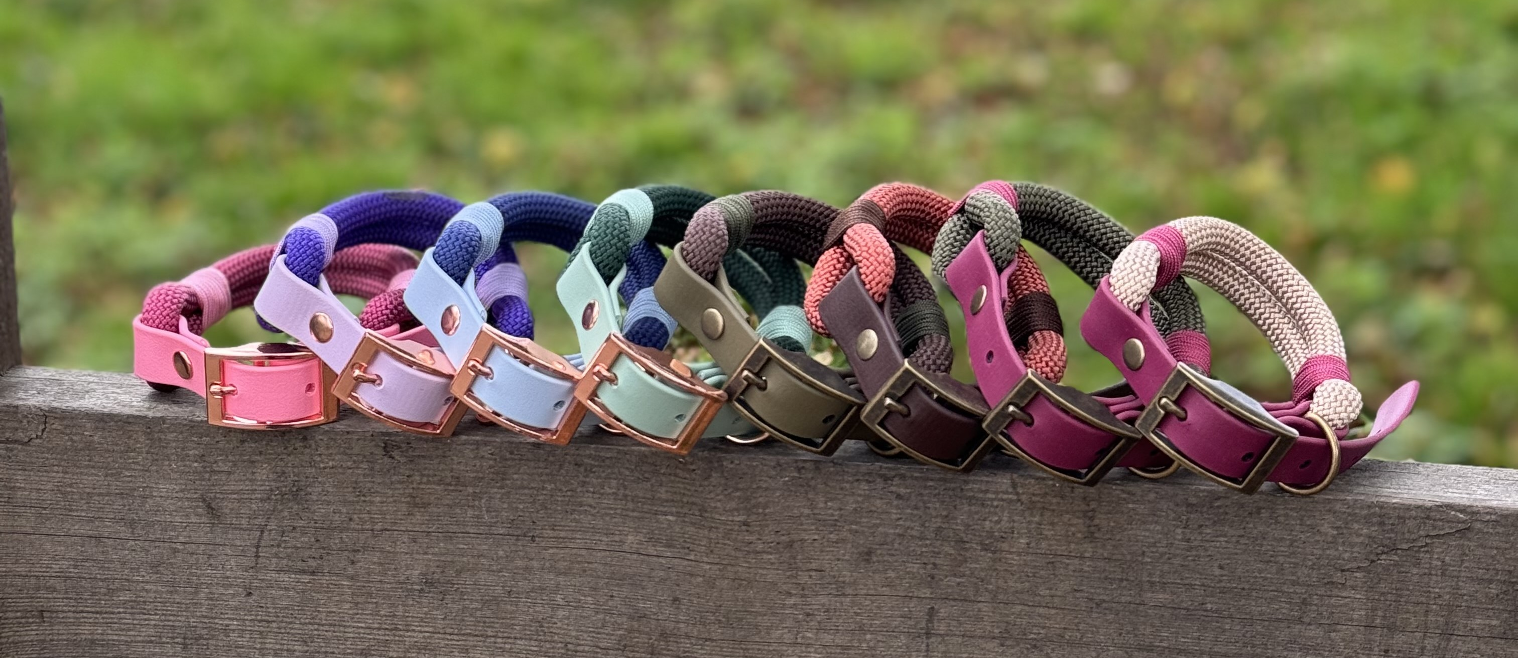 Row of colorful dog collars on a wooden surface with a natural background