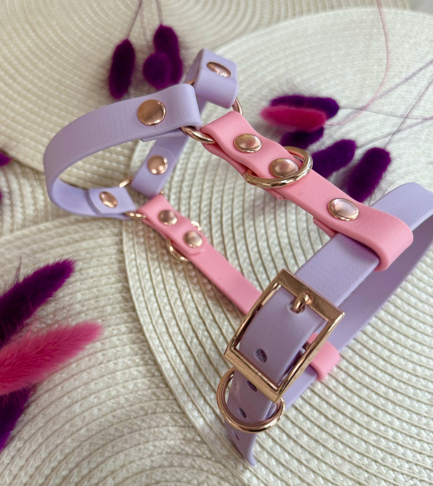 Waterproof BioThane® Perfect-Fit Dog Harness - Design Your Own