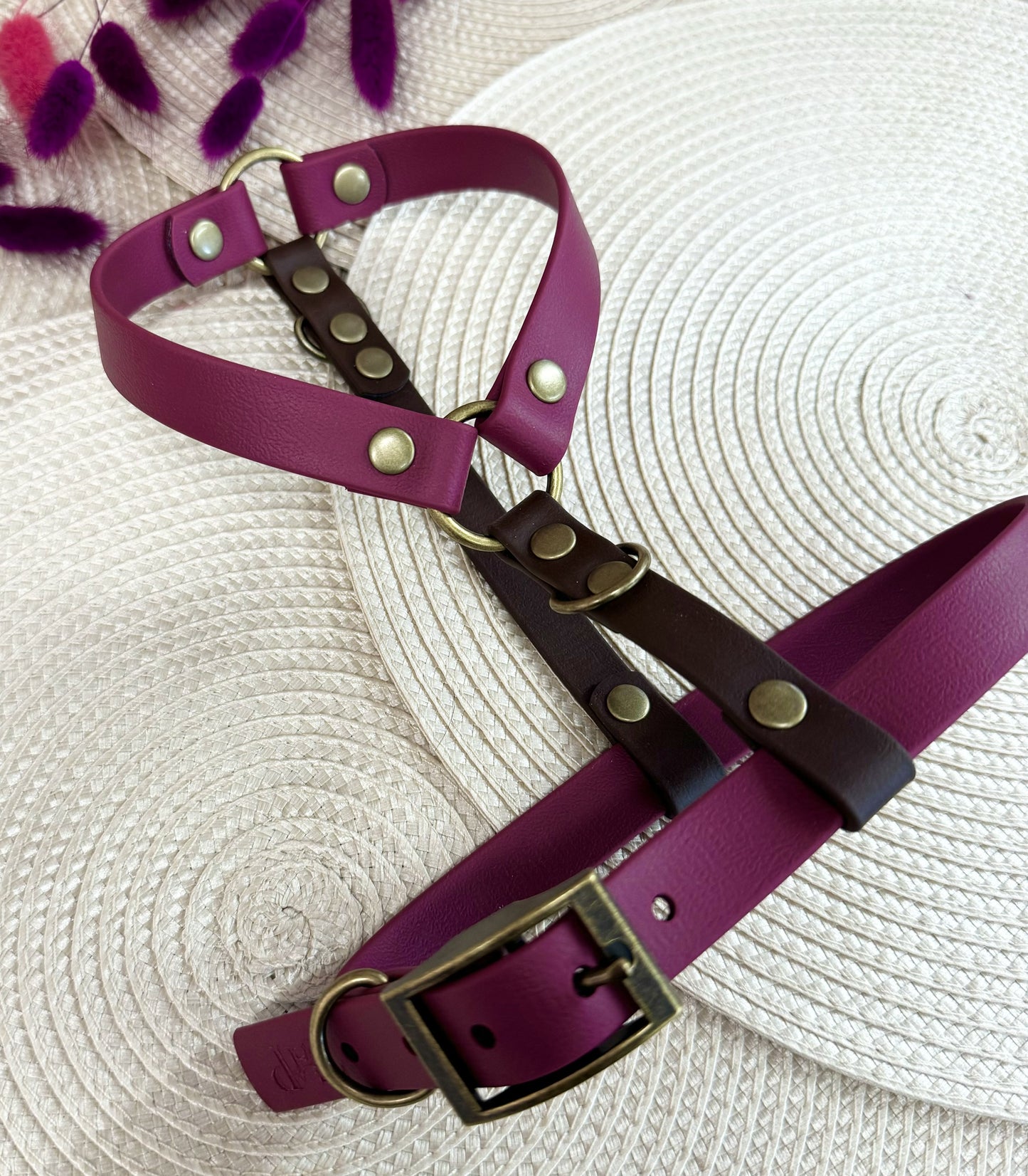 Waterproof BioThane® Perfect-Fit Dog Harness - Design Your Own