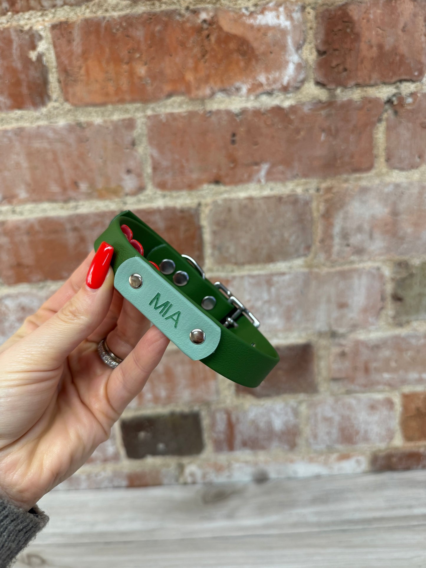 Biothane Collar and Lead Personalisation - Engraving