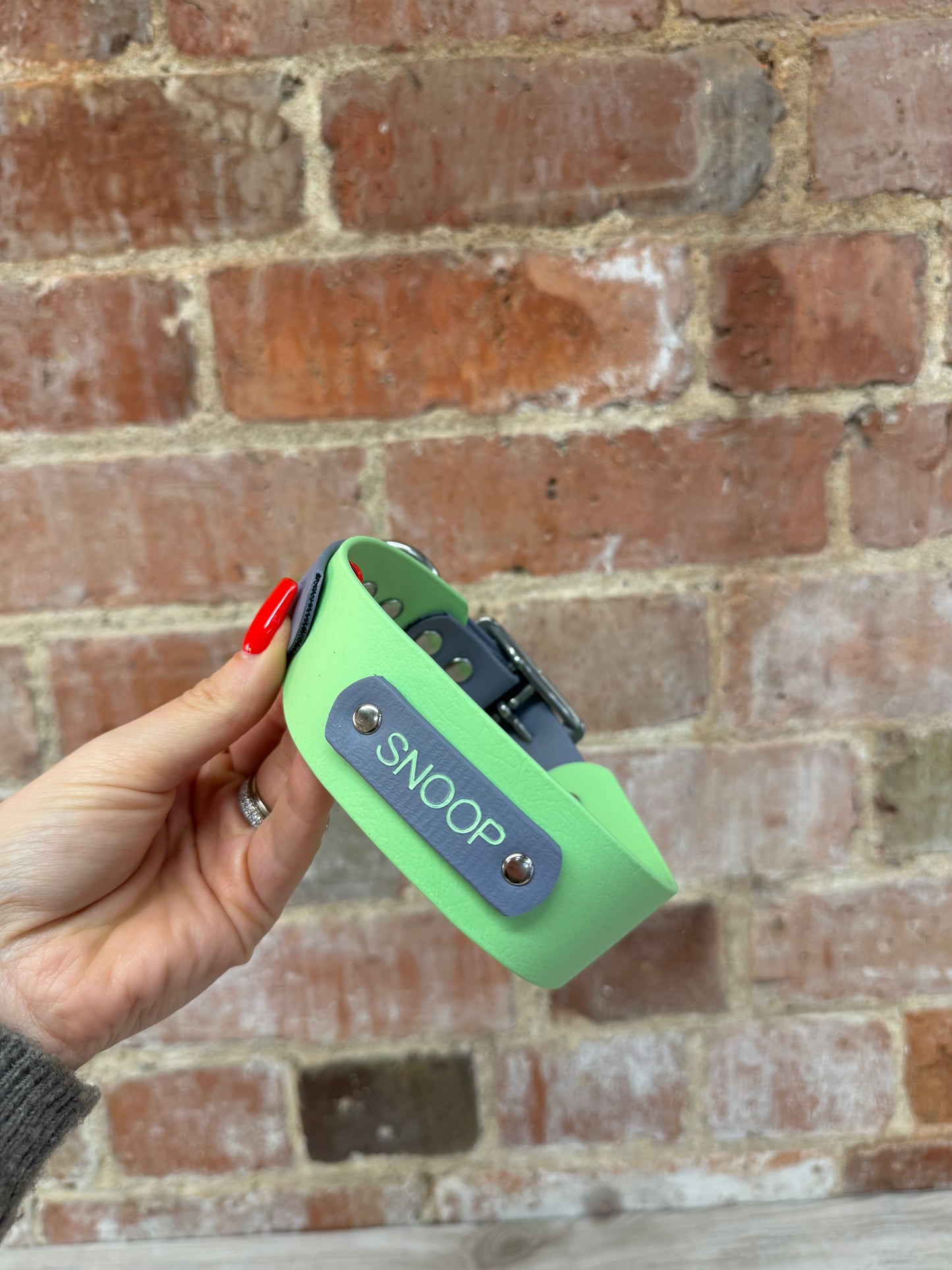 Biothane Collar and Lead Personalisation - Engraving