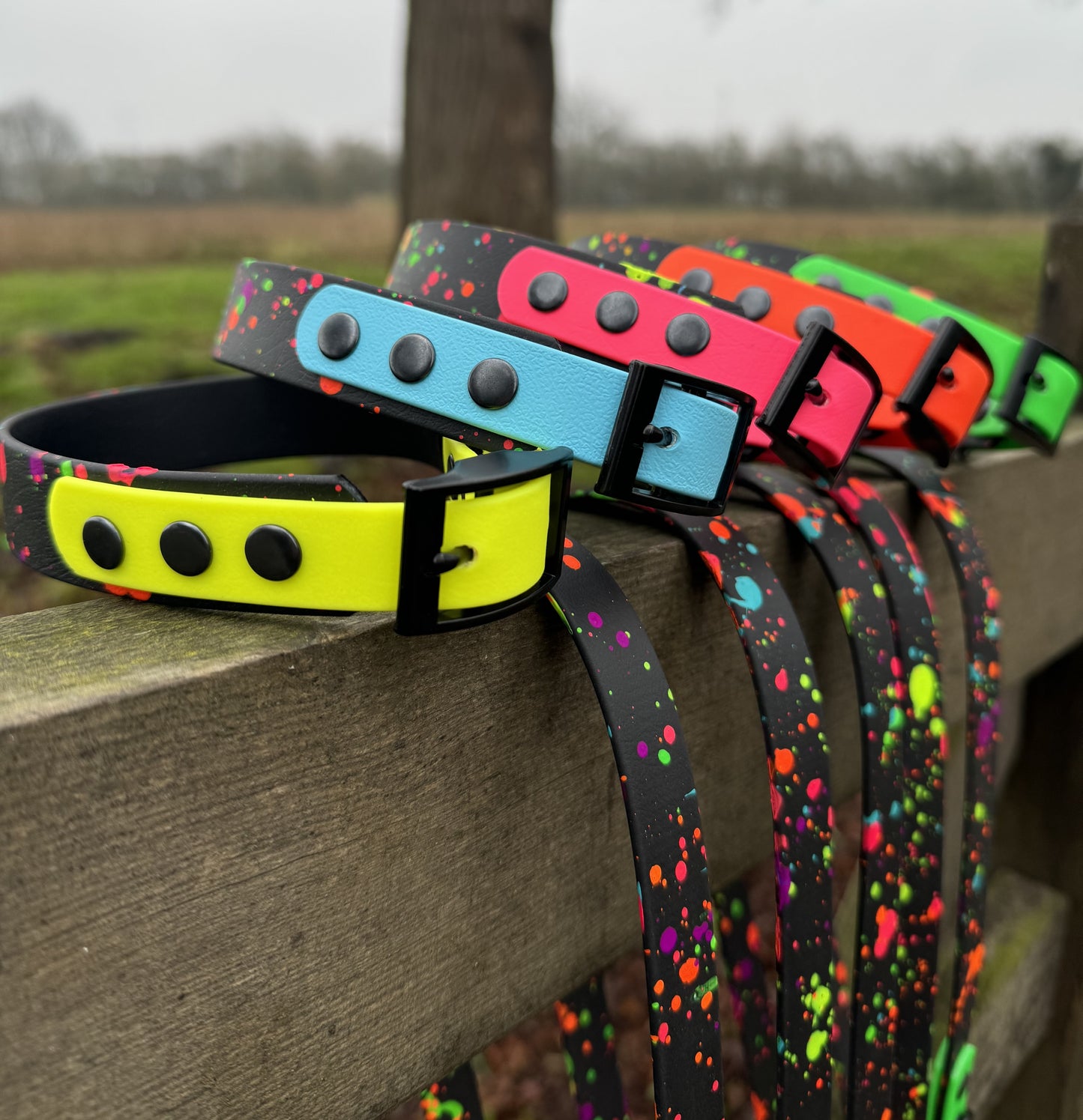 Neon Blue - Waterproof BioThane© Splatter Dog Collar - Neon Collection