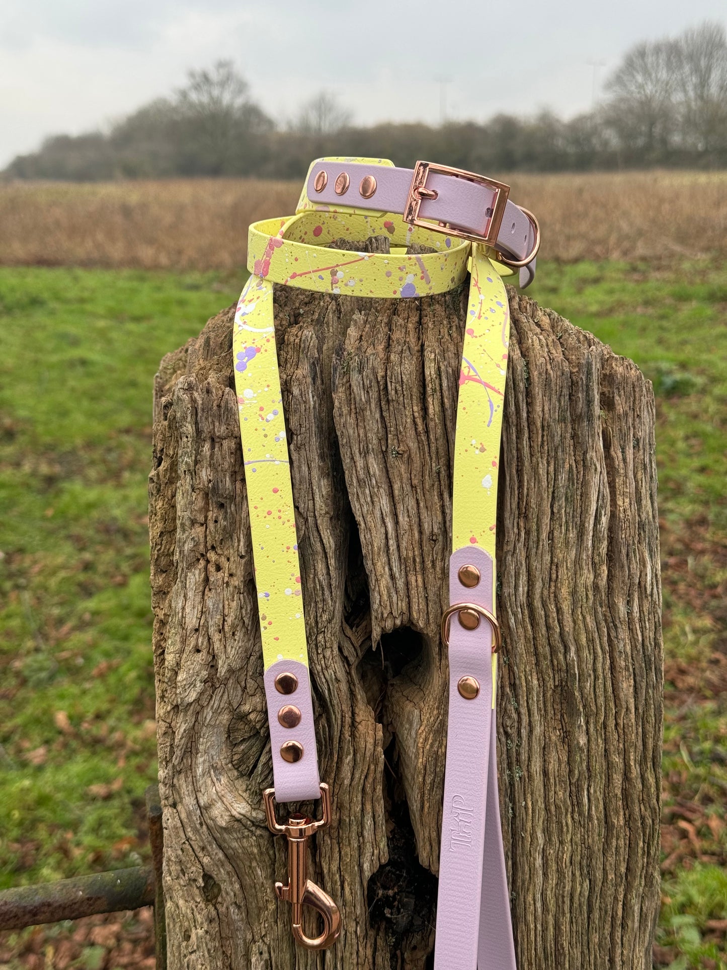 Lavender Lemonade - Waterproof BioThane© Splatter Dog Collar - Pastel Collection