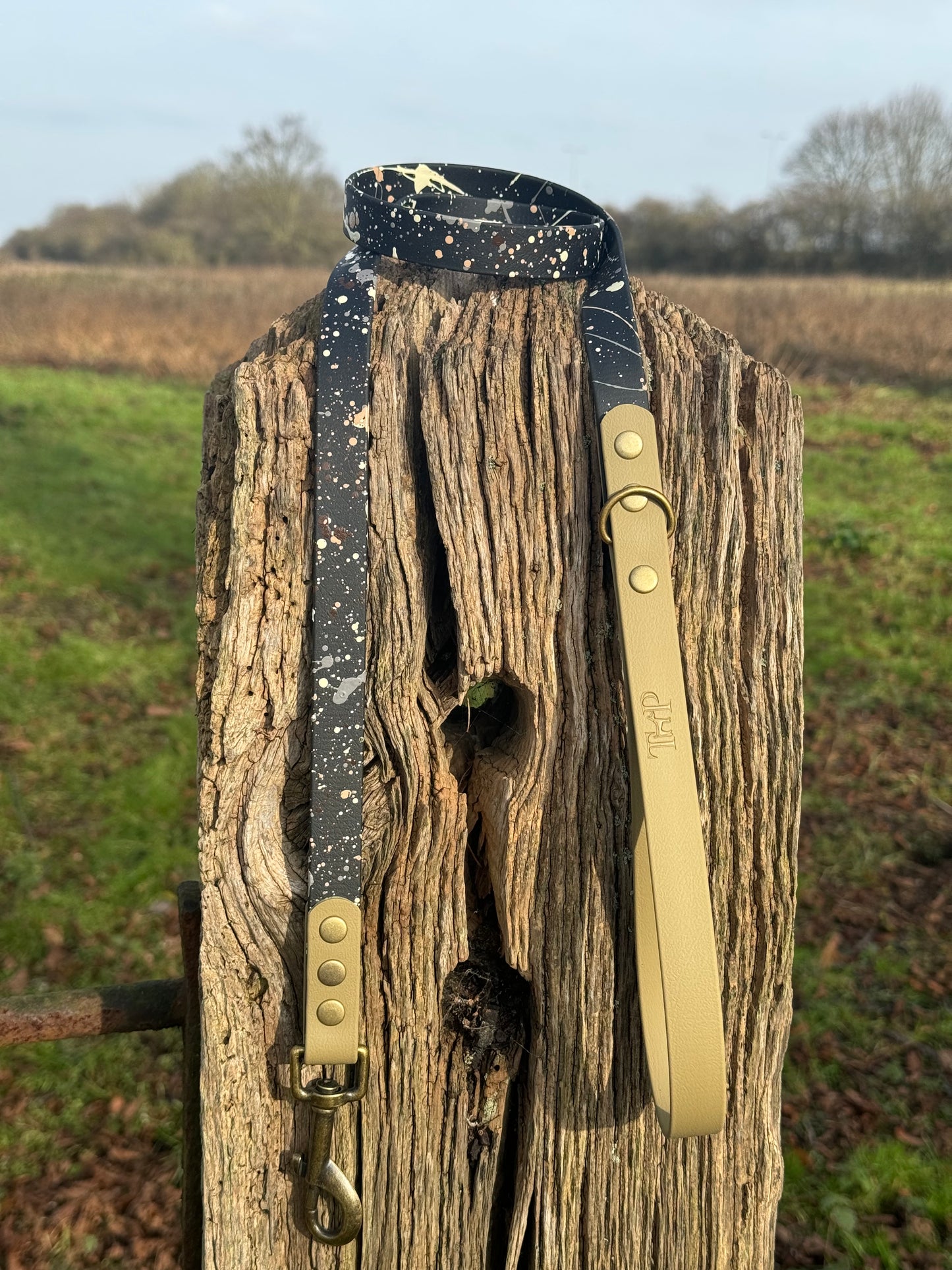 Ironstone - Waterproof BioThane© Splatter Dog Lead - Terra Collection