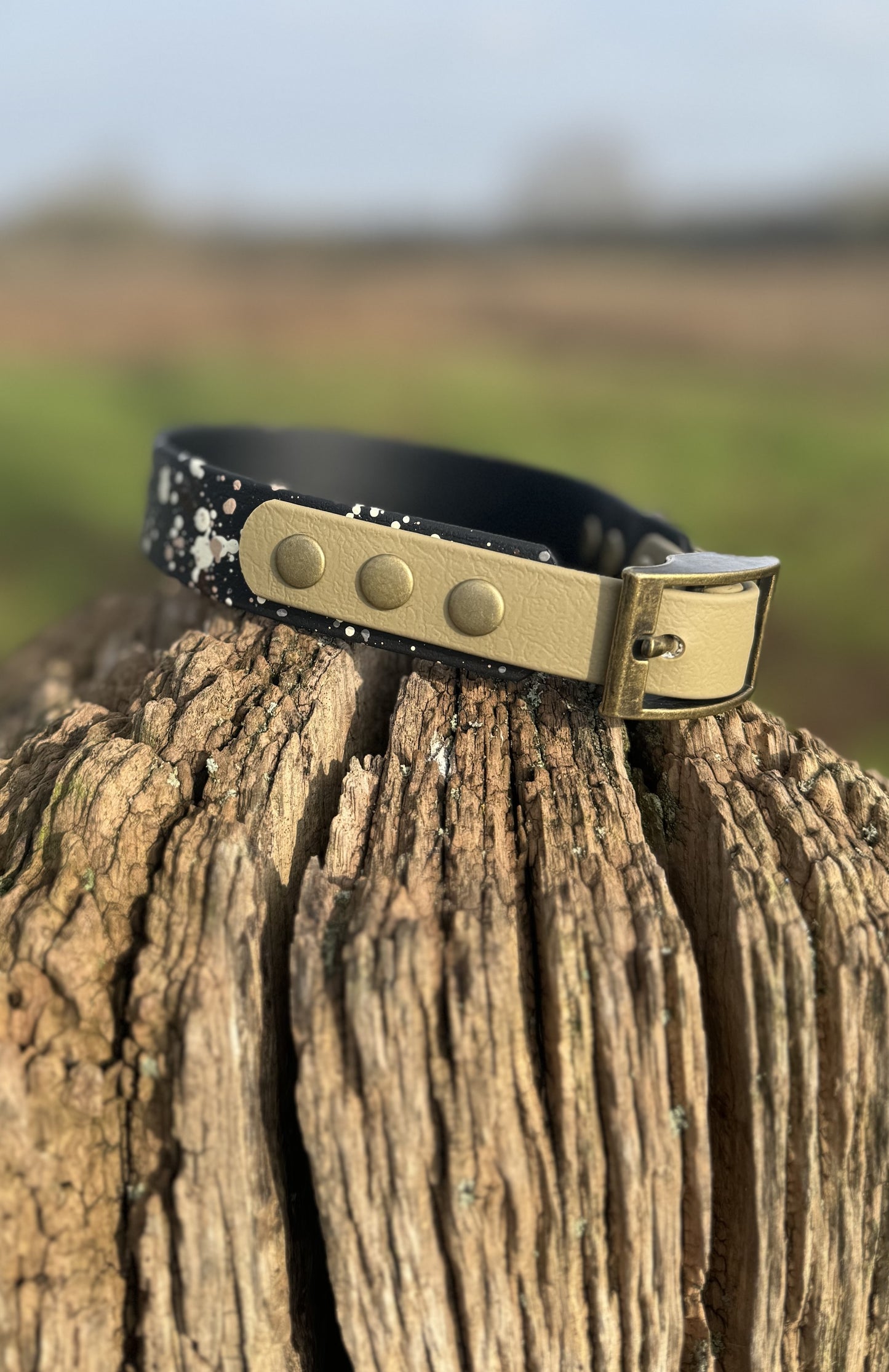 Ironstone - Waterproof BioThane© Splatter Dog Collar - Terra Collection