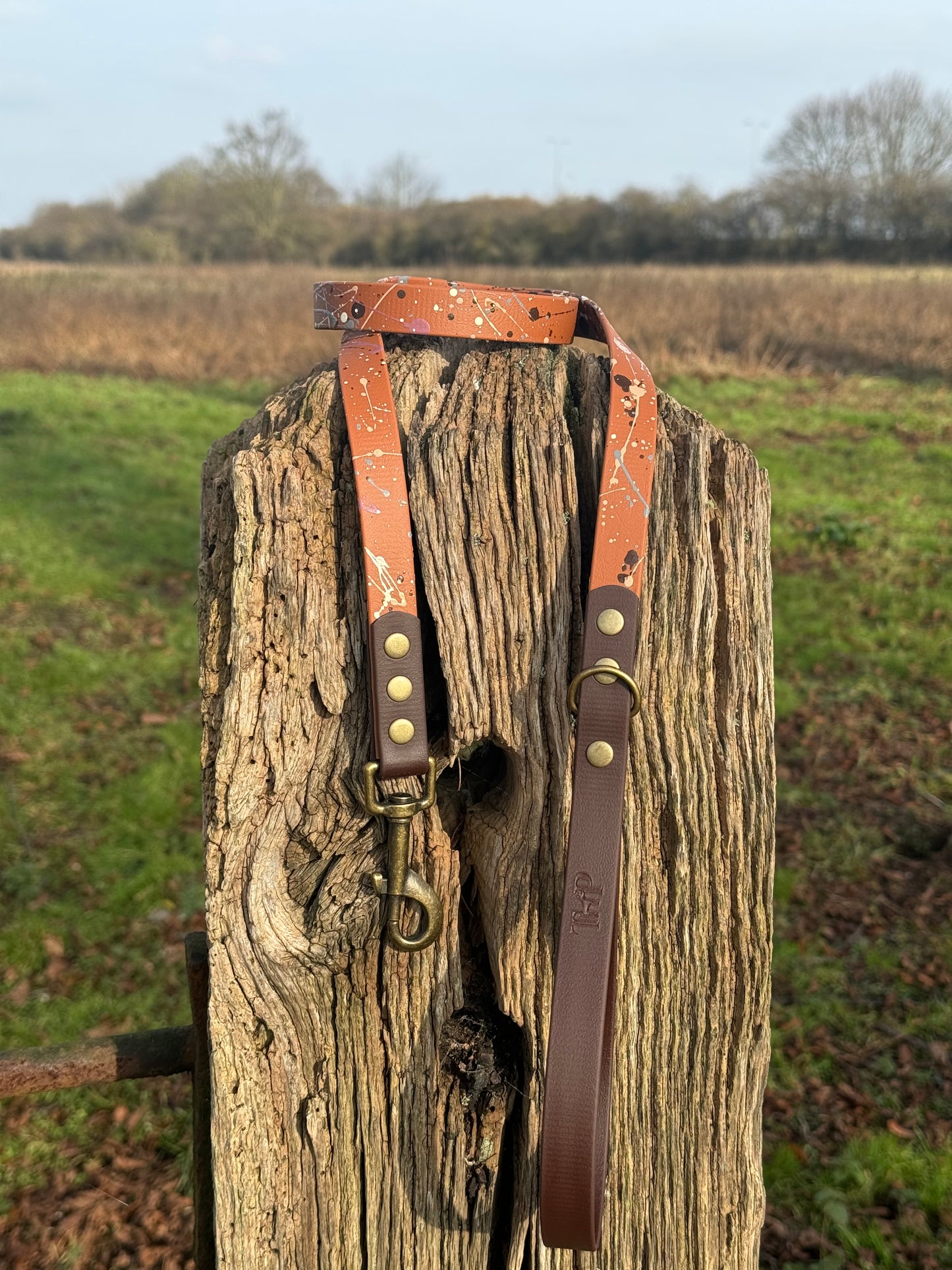 Timberline - Waterproof BioThane© Splatter Dog Lead - Terra Collection