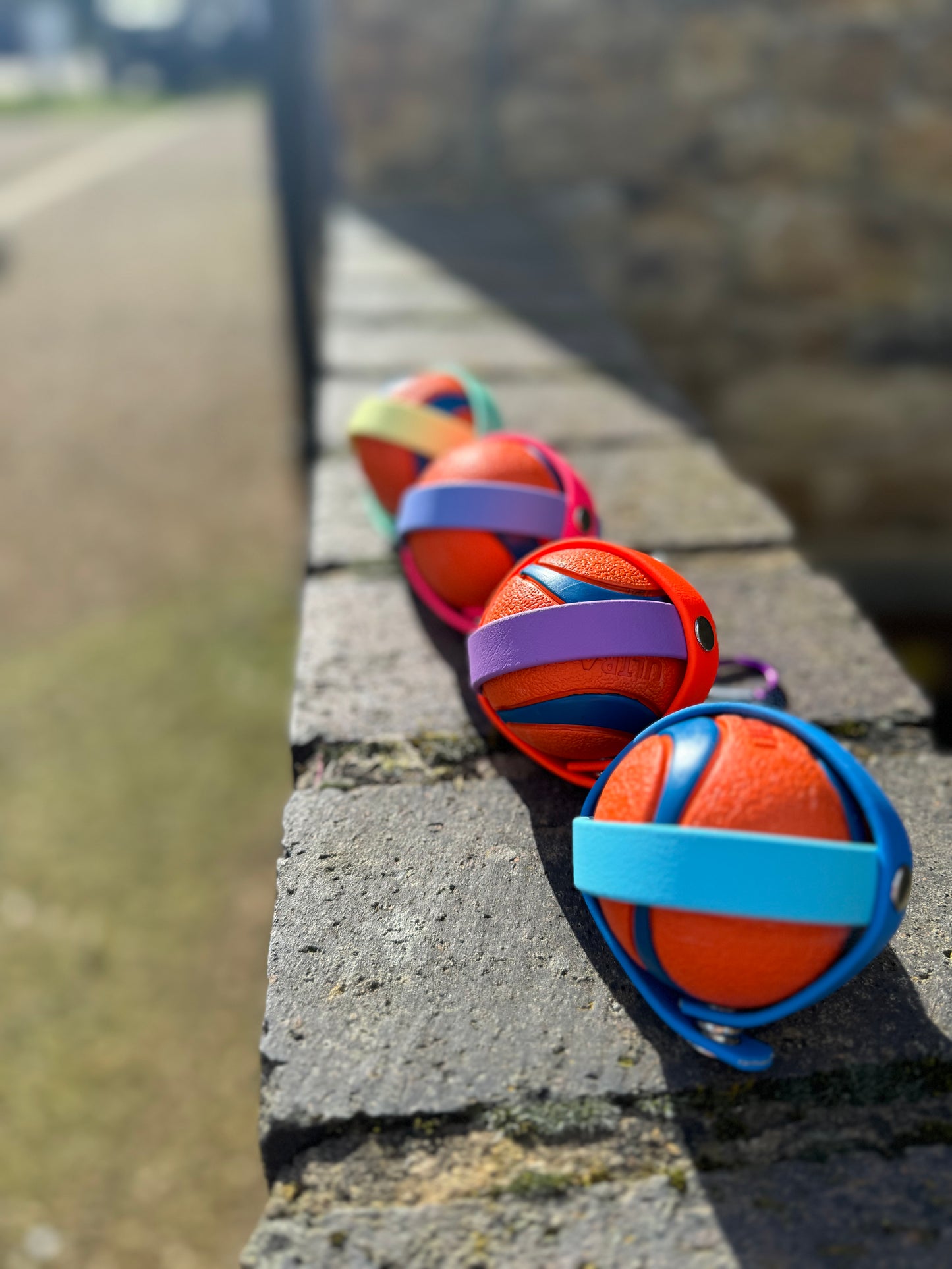 Waterproof BioThane® Dog Ball Holder - Design Your Own