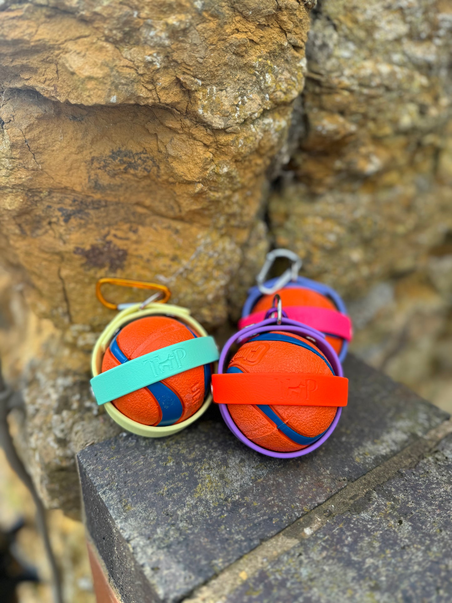 Waterproof BioThane® Dog Ball Holder - Design Your Own