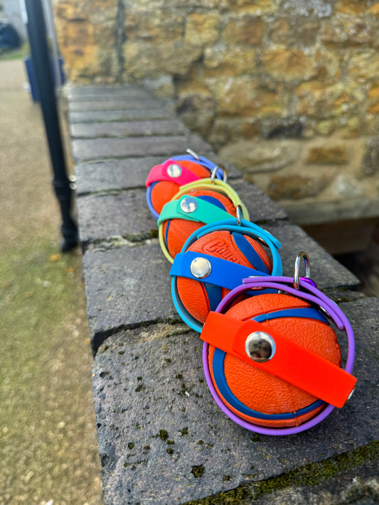 Waterproof BioThane® Dog Ball Holder - Design Your Own