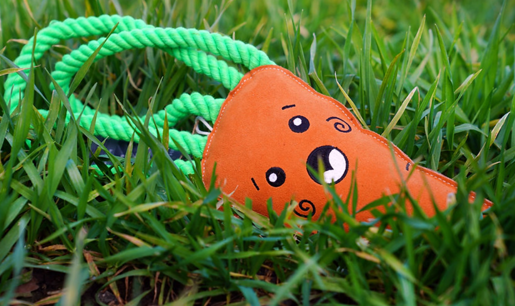 Copper - Carrot Eco Toy