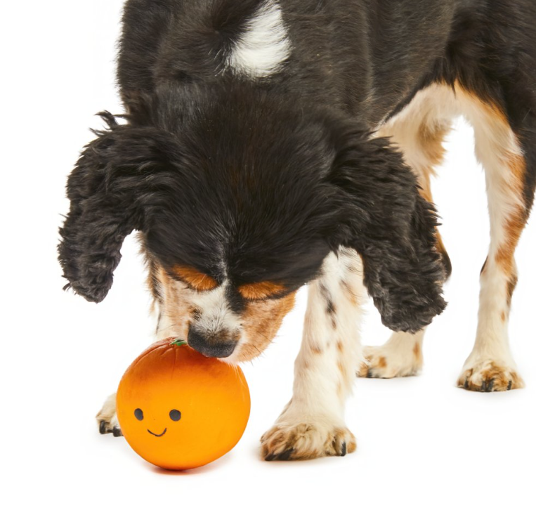 Orange Latex Dog Toy