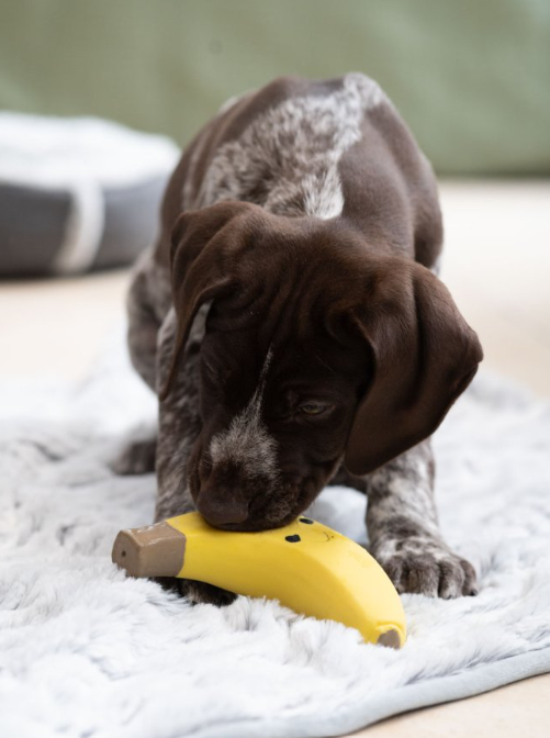 Banana Latex Dog Toy