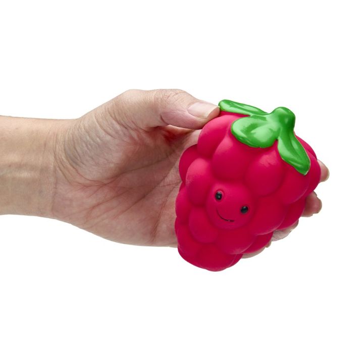 Raspberry Latex Dog Toy