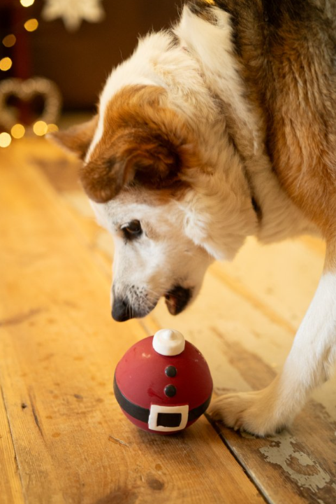 Christmas Bauble Latex Dog Toy