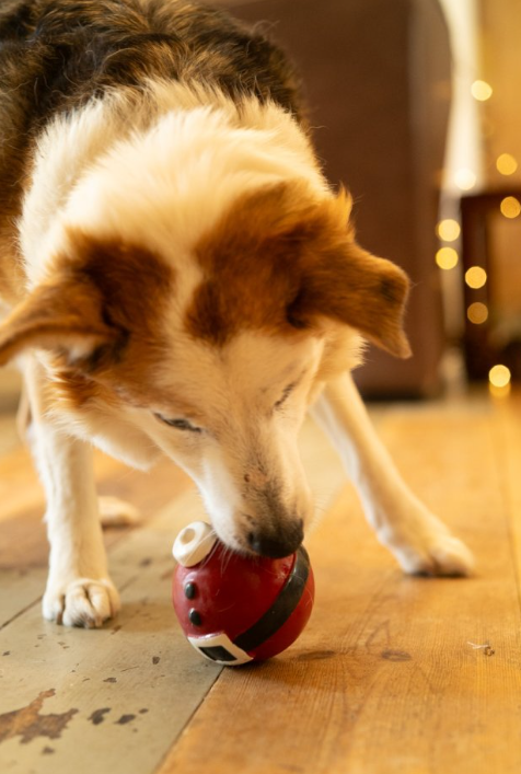 Christmas Bauble Latex Dog Toy