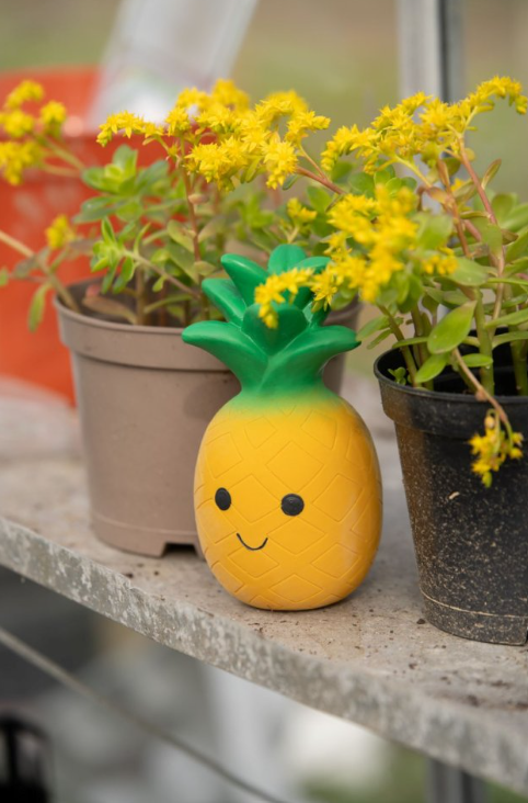 Pineapple Latex Dog Toy