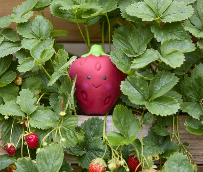Strawberry Latex Dog Toy
