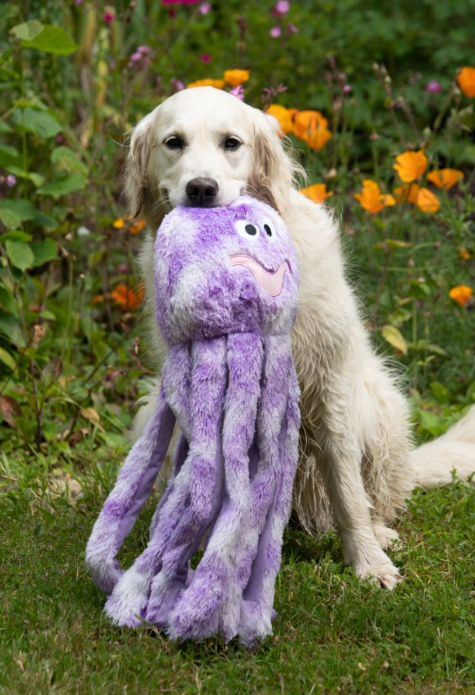 Orla Large Size Octopus Plush Toy
