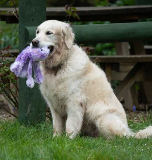 Orla Small Size Octopus Plush Toy