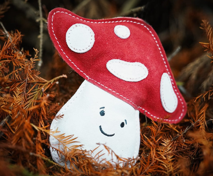 Marie Mushroom - Eco Dog Toy