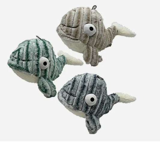 Baby Whale