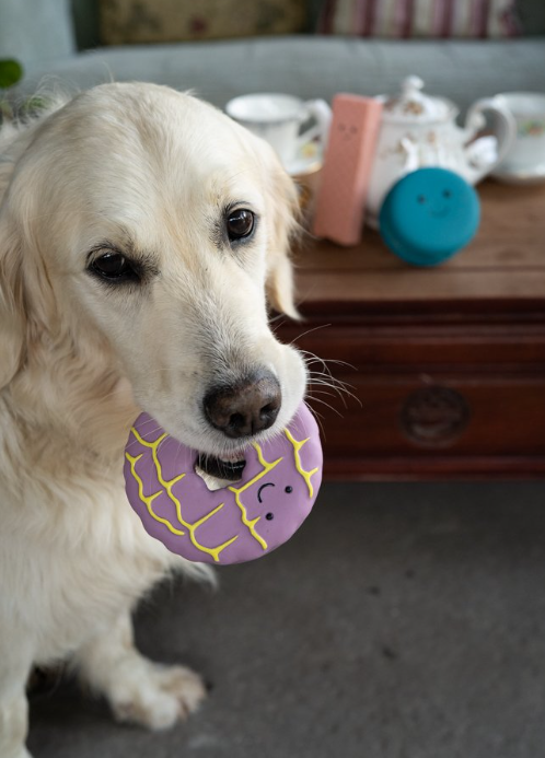 Donut Latex Dog Toy