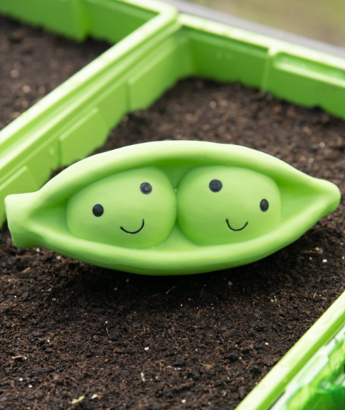 Peapod Latex Dog Toy