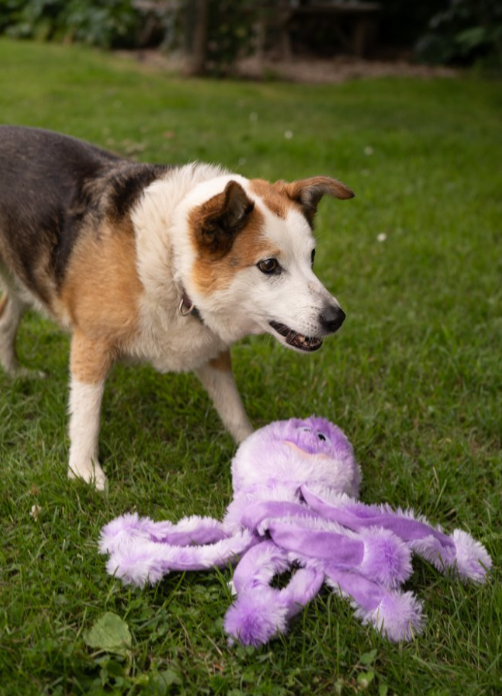 Orla Medium Size Octopus Plush Toy