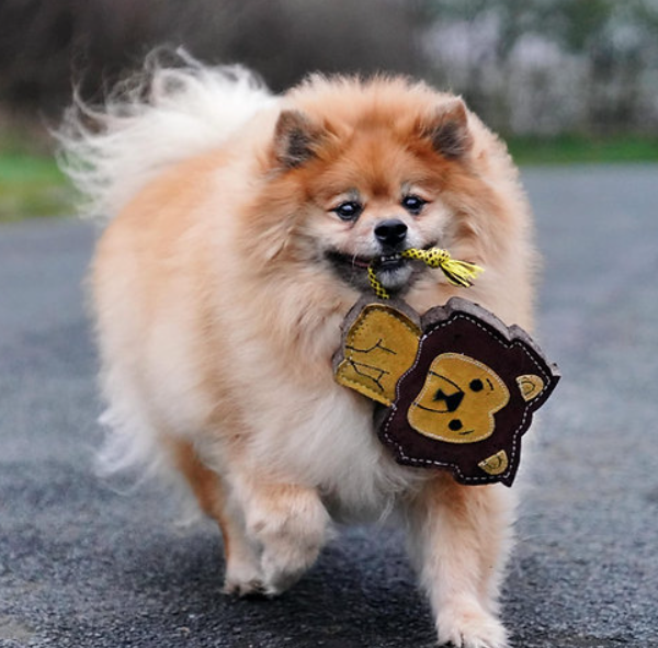 Howard the Lion - Eco Dog Toy